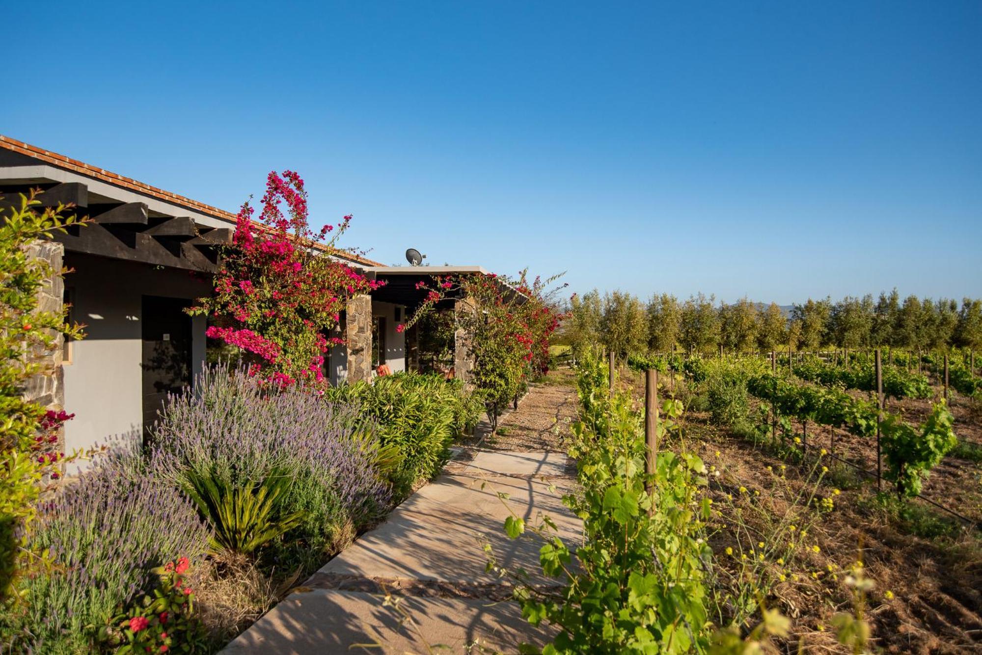 Hotel Atika Retreat Valle de Guadalupe Exterior foto